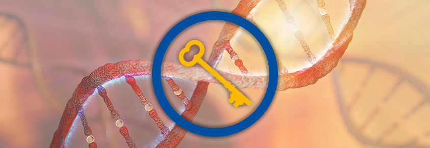 Ein Helixmodells eines Genstranges im Hintergrund, davor ein Schlüssel im blauen Diabeteskreis