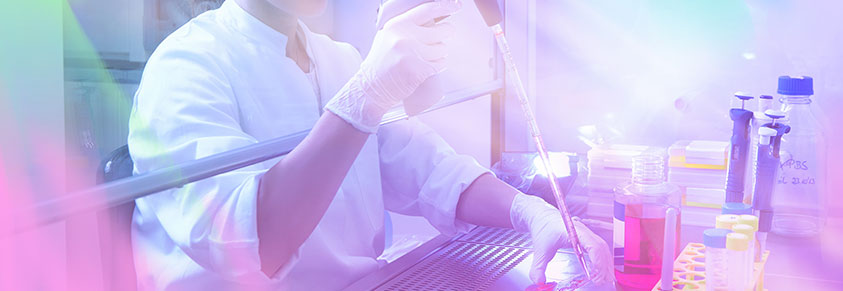 Stammzellenforschung im Labor