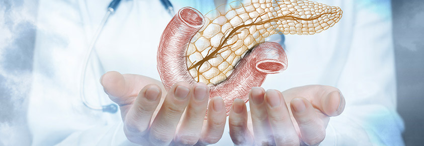 Eine Bauchspeicheldrüse