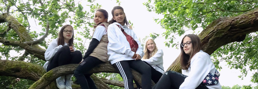 5 junge Mädchen stehend und sitzend auf Baumstämmen