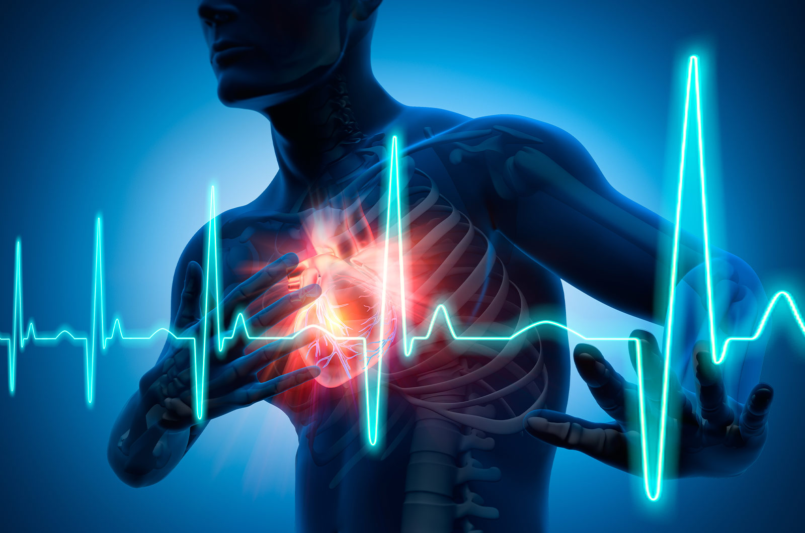 3D-Darstellung, Mensch mit rot aufleuchtendem Herz, Darstellung Herzinfarkt 