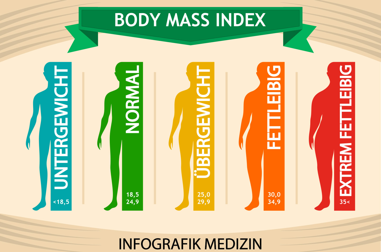 Body Maß Index Info-Diagramm, männliche Silhouette medizinische Infografik von untergewichtig bis extrem fettleibig
