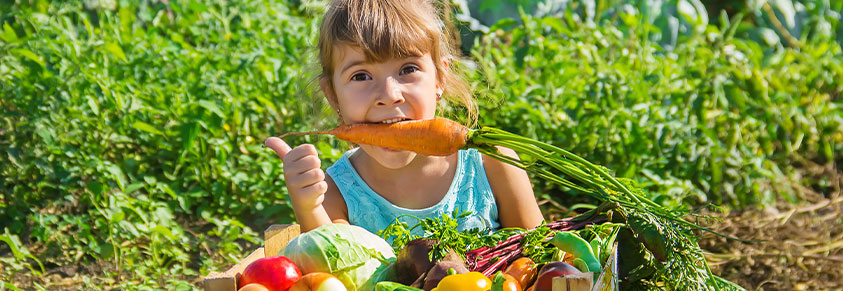 Kind mit Gemüsekiste, im Hintergrund der Schulgarten 