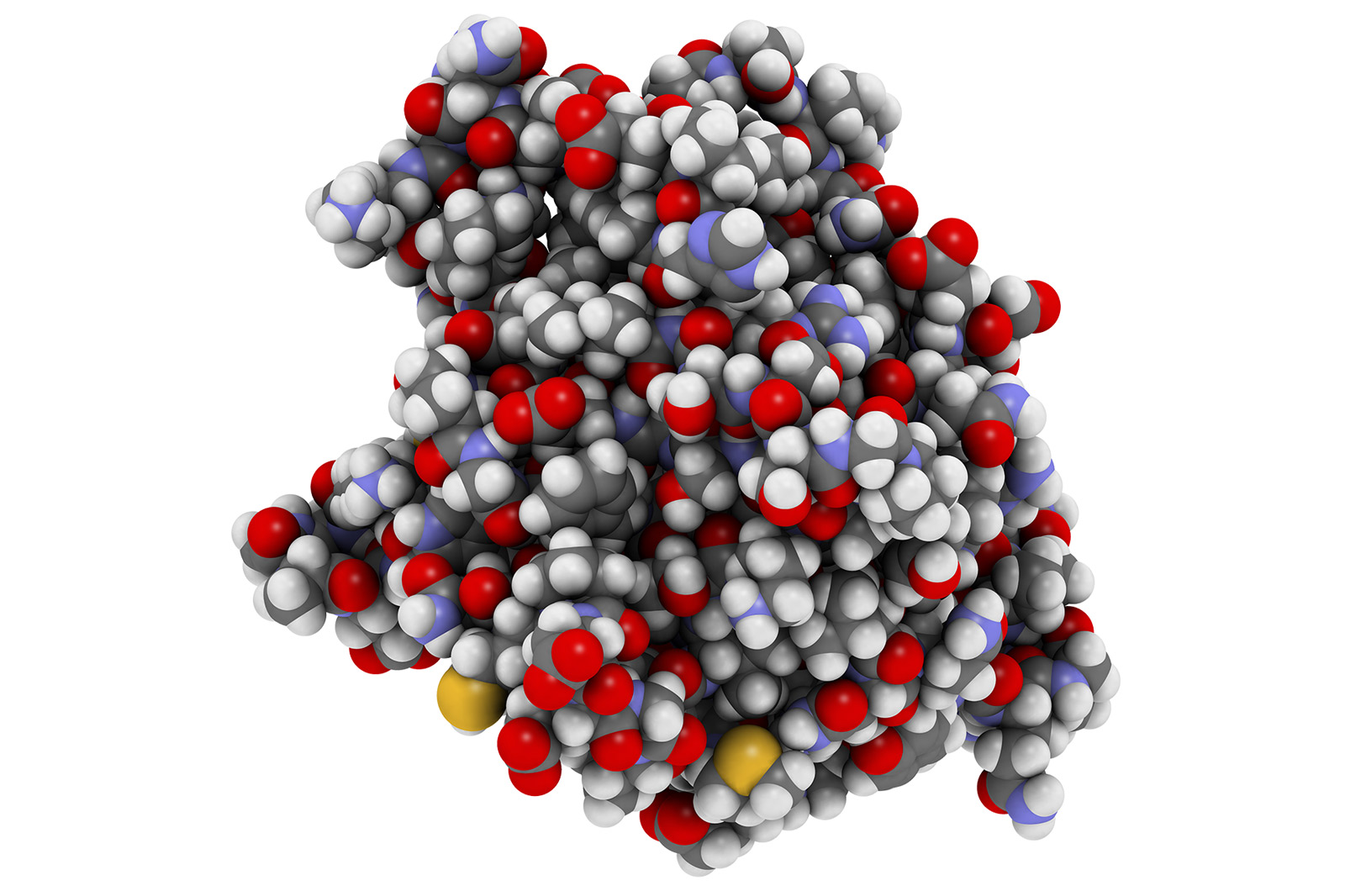 Ein Interleukin-1-Molekül als 3D-Kugel-Modell