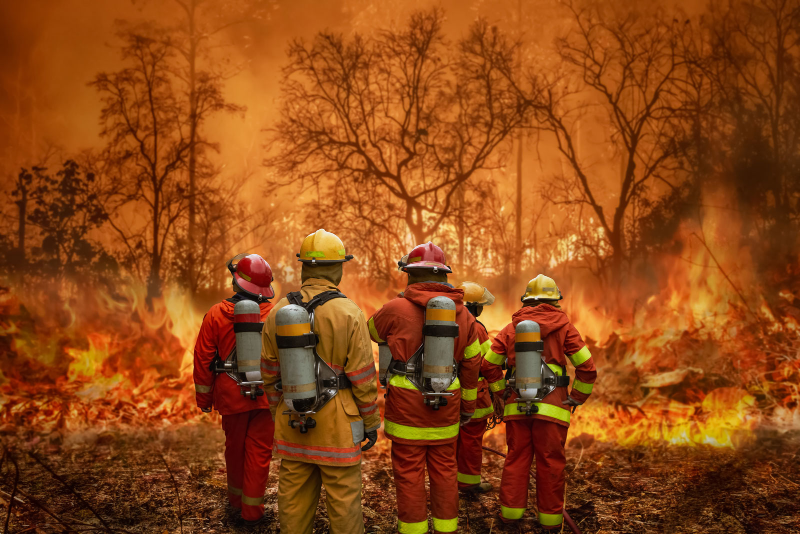 Eine Gruppe Feuerwehrleute vor einem brennenden Wald.