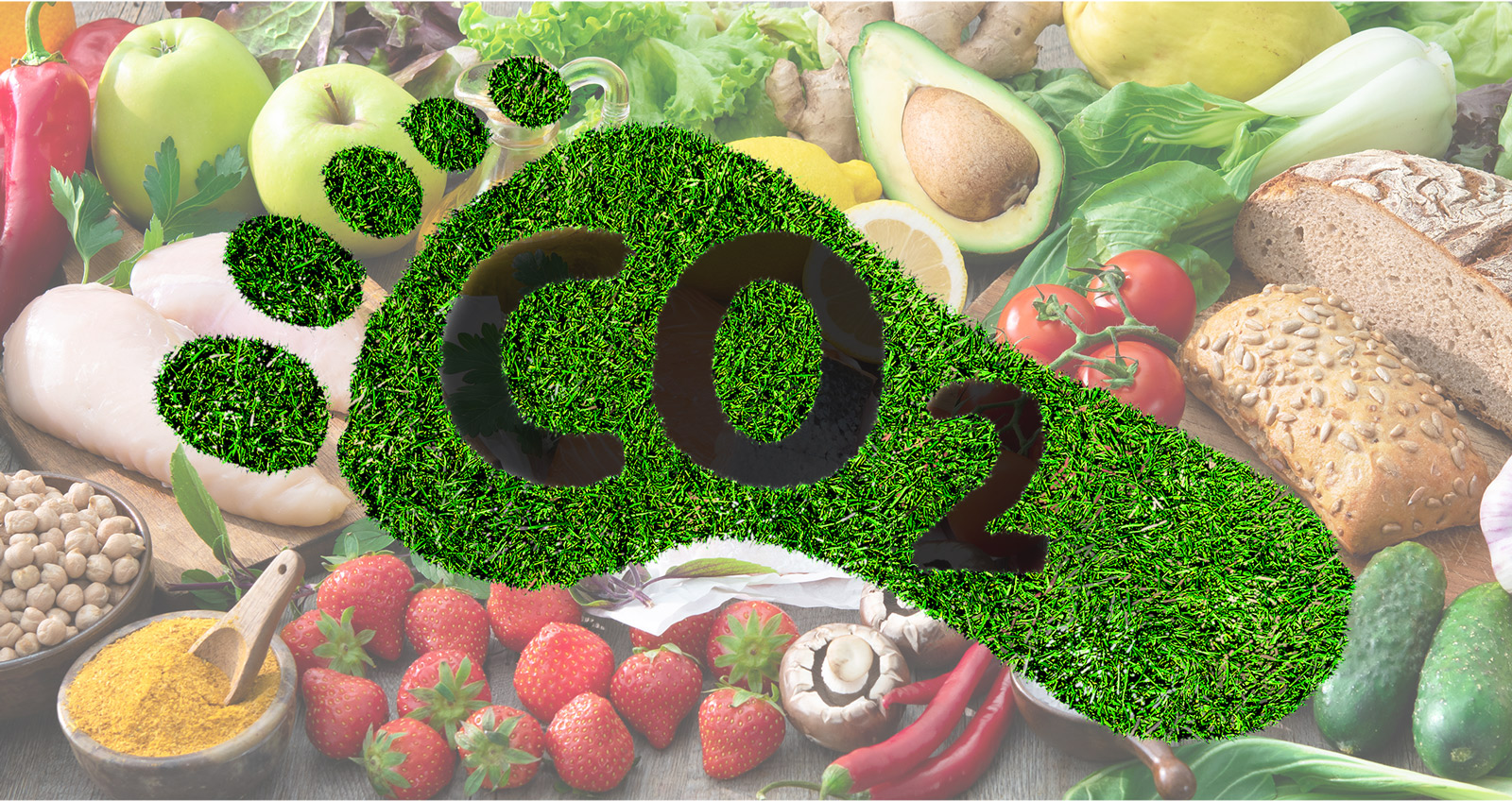 Ein Fuss aus Rasen in dem "CO 2" steht vor einem Hintergrund aus verschiedensten Nahrungsmitteln.