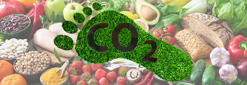 Ein Fuss aus Rasen in dem "CO 2" steht vor einem Hintergrund aus verschiedensten Nahrungsmitteln.
