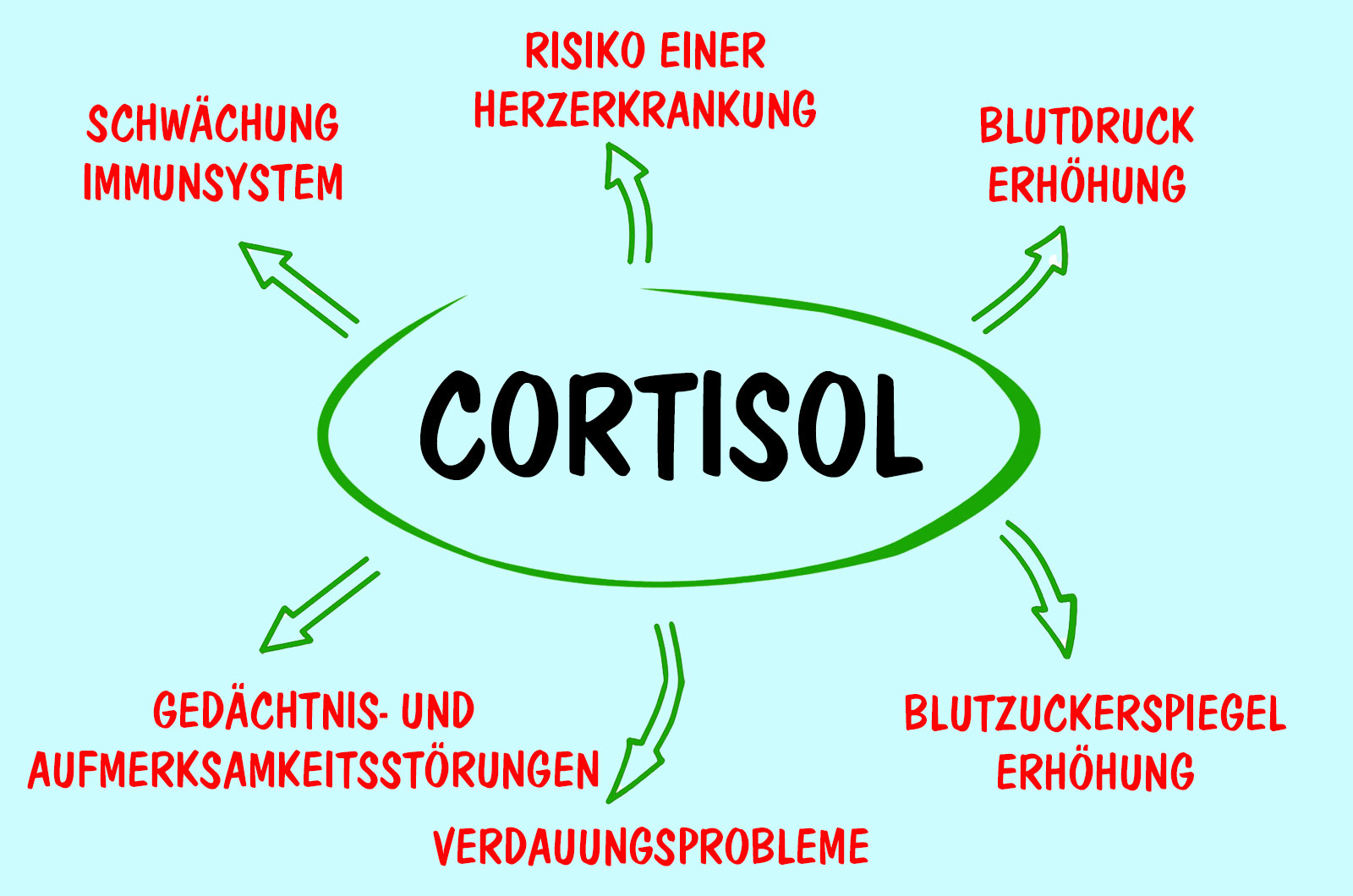 Auswirkungen von Cortisol 