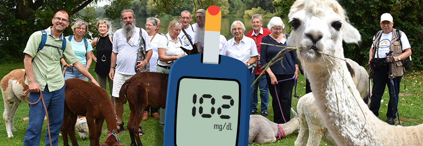 Ein Gruppenbild mit Alpakas, davor ein Blutzuckermessgerät, welches einen Wert von "102" anzeigt.