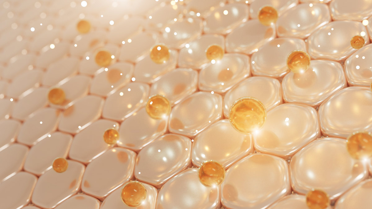 Hautzellen Hautzellen