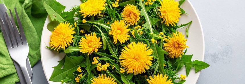 Löwenzahn auf dem Teller
